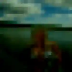Photo de Marie-Laure à Villeneuve-lès-Maguelone (29 ans) - rencontre coquine gratuit